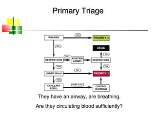 Primary TriagePrimary Triage
They have an airway, are breathing.
Are they circulating blood sufficiently?
 