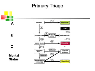 Primary TriagePrimary Triage
A
B
C
Mental
Status
 