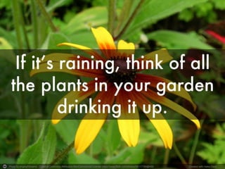 Photo by angela7dreams - Creative Commons Attribution-NonCommercial License https://www.flickr.com/photos/58117789@N00 Created with Haiku Deck