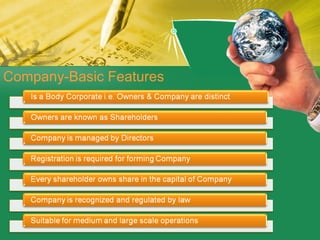 Company-Basic Features 
