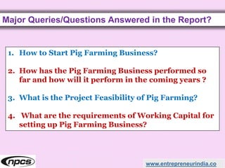 Major Queries/Questions Answered in the Report?
www.entrepreneurindia.co
1. How to Start Pig Farming Business?
2. How has the Pig Farming Business performed so
far and how will it perform in the coming years ?
3. What is the Project Feasibility of Pig Farming?
4. What are the requirements of Working Capital for
setting up Pig Farming Business?
 