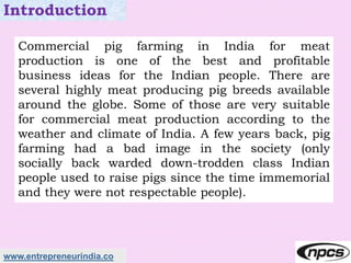 www.entrepreneurindia.co
Introduction
Commercial pig farming in India for meat
production is one of the best and profitable
business ideas for the Indian people. There are
several highly meat producing pig breeds available
around the globe. Some of those are very suitable
for commercial meat production according to the
weather and climate of India. A few years back, pig
farming had a bad image in the society (only
socially back warded down-trodden class Indian
people used to raise pigs since the time immemorial
and they were not respectable people).
 