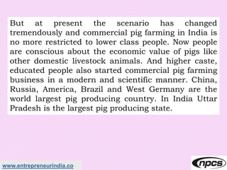 www.entrepreneurindia.co
But at present the scenario has changed
tremendously and commercial pig farming in India is
no more restricted to lower class people. Now people
are conscious about the economic value of pigs like
other domestic livestock animals. And higher caste,
educated people also started commercial pig farming
business in a modern and scientific manner. China,
Russia, America, Brazil and West Germany are the
world largest pig producing country. In India Uttar
Pradesh is the largest pig producing state.
 