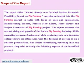 Scope of the Report
The report titled “Market Survey cum Detailed Techno Economic
Feasibility Report on Pig Farming ” provides an insight into the Pig
Farming market in India with focus on uses and applications,
Manufacturing Process, Process Flow Sheets, Plant Layout and
Project Financials of Pig Farming project. The report assesses the
market sizing and growth of the Indian Pig Farming Industry. While
expanding a current business or while venturing into new business,
entrepreneurs are often faced with the dilemma of zeroing in on a
suitable product/line. And before diversifying/venturing into any
product, they wish to study the following aspects of the identified
product:
www.entrepreneurindia.co
 