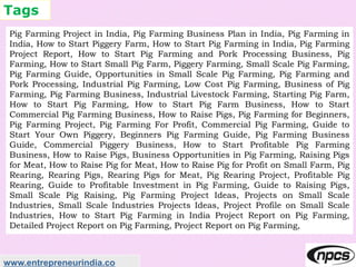 Tags
www.entrepreneurindia.co
Pig Farming Project in India, Pig Farming Business Plan in India, Pig Farming in
India, How to Start Piggery Farm, How to Start Pig Farming in India, Pig Farming
Project Report, How to Start Pig Farming and Pork Processing Business, Pig
Farming, How to Start Small Pig Farm, Piggery Farming, Small Scale Pig Farming,
Pig Farming Guide, Opportunities in Small Scale Pig Farming, Pig Farming and
Pork Processing, Industrial Pig Farming, Low Cost Pig Farming, Business of Pig
Farming, Pig Farming Business, Industrial Livestock Farming, Starting Pig Farm,
How to Start Pig Farming, How to Start Pig Farm Business, How to Start
Commercial Pig Farming Business, How to Raise Pigs, Pig Farming for Beginners,
Pig Farming Project, Pig Farming For Profit, Commercial Pig Farming, Guide to
Start Your Own Piggery, Beginners Pig Farming Guide, Pig Farming Business
Guide, Commercial Piggery Business, How to Start Profitable Pig Farming
Business, How to Raise Pigs, Business Opportunities in Pig Farming, Raising Pigs
for Meat, How to Raise Pig for Meat, How to Raise Pig for Profit on Small Farm, Pig
Rearing, Rearing Pigs, Rearing Pigs for Meat, Pig Rearing Project, Profitable Pig
Rearing, Guide to Profitable Investment in Pig Farming, Guide to Raising Pigs,
Small Scale Pig Raising, Pig Farming Project Ideas, Projects on Small Scale
Industries, Small Scale Industries Projects Ideas, Project Profile on Small Scale
Industries, How to Start Pig Farming in India Project Report on Pig Farming,
Detailed Project Report on Pig Farming, Project Report on Pig Farming,
 