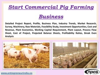www.entrepreneurindia.co
Start Commercial Pig Farming
Business
Detailed Project Report, Profile, Business Plan, Industry Trends, Market Research,
Survey, Machinery, Raw Materials, Feasibility Study, Investment Opportunities, Cost and
Revenue, Plant Economics, Working Capital Requirement, Plant Layout, Process Flow
Sheet, Cost of Project, Projected Balance Sheets, Profitability Ratios, Break Even
Analysis
 