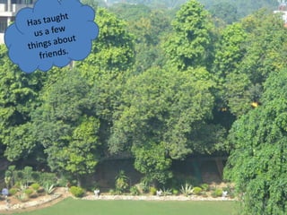 Has taught us a few things about friends. 