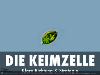 Photo by PROYECTO AGUA** /** WATER PROJECT - Creative Commons Attribution-NonCommercial-ShareAlike License http://www.flickr.com/photos/25898159@N07Created with Haiku Deck
 