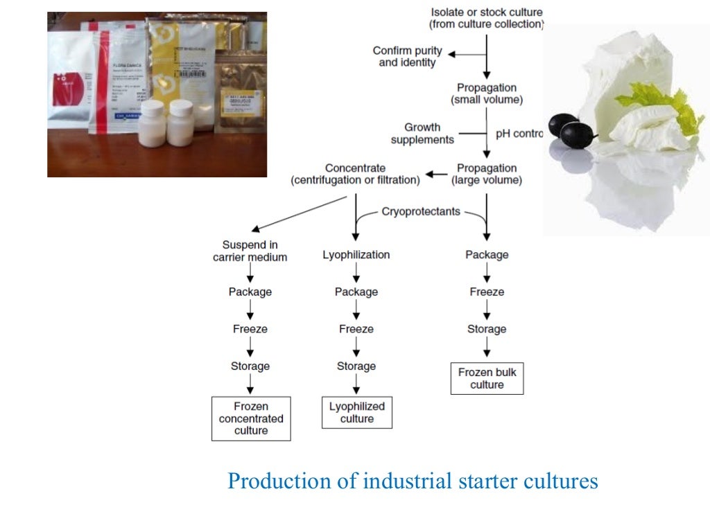 Starter culture technology