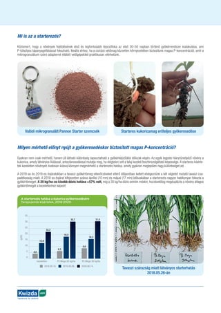 AGRO
Táplálunk és védünk
Mi is az a starterezés?
Közismert, hogy a növények fejlődésének első és legfontosabb lépcsőfoka az első 30-50 napban történő gyökérrendszer kialakulása, ami
P-túlsúlyos tápanyagellátással fokozható. Ideális ehhez, ha a csírázó vetőmag közvetlen környezetében biztosítunk magas P-koncentrációt, amit a
mikrogranulátum-szóró adapterrel ellátott vetőgépekkel praktikusan elérhetünk.
Milyen mérhető előnyt nyújt a gyökeresedéskor biztosított magas P-koncentráció?
Gyakran nem csak mérhető, hanem jól látható különbség tapasztalható a gyökérképződési időszak végén. Az egyik legjobb hiánytünetjelző növény a
kukorica, amely látványos lilulással, antociánosodással mutatja meg, ha elégtelen volt a talaj kezdeti foszforszolgáltató képessége. A starteres kísérle-
tek kezeletlen növényeit óvatosan kiásva könnyen megmérhető a starterezés hatása, amely gyakran meglepően nagy különbséget ad.
A 2018-as és 2019-es évjáratokban a tavaszi gyökértömeg-ellenőrzéseket eltérő időpontban kellett elvégeznünk a két végletet mutató tavaszi csa-
padékosság miatt. A 2018-as évjárat kifejezetten száraz áprilisi (10 mm) és májusi (17 mm) időszakában a starterezés nagyon hatékonyan fokozta a
gyökértömeget. A 20 kg/ha-os kisebb dózis hatása +57% volt, míg a 30 kg/ha dózis extrém módon, hozzávetőleg megduplázta a növény átlagos
gyökértömegét a kezeletlenhez képest!
Valódi mikrogranulált Pannon Starter szemcsék
Tavaszi szárazság miatt látványos starterhatás
2018.05.26-án
Starteres kukoricamag erőteljes gyökeresedése
A starterezés hatása a kukorica gyökeresedésére
Terepszemle kísérletek, 2018-2020.
35
30
25
20
15
10
5
0
kezeletlen PS Mega 20 kg/ha
2018.05.18. 2019.06.09. 2020.06.14.
(g/tő)
4,0
22,2
6,3
18,2
30,7
PS Mega 30 kg/ha
8,6
16,3
31,0
12,9
 