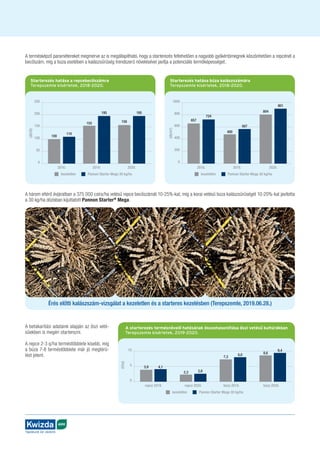 AGRO
Táplálunk és védünk
A termésképző paramétereket megmérve az is megállapítható, hogy a starterezés feltehetően a nagyobb gyökértömegnek köszönhetően a repcénél a
becőszám, míg a búza esetében a kalászsűrűség trendszerű növelésével javítja a potenciális termőképességet.
A három eltérő évjáratban a 375 000 csíra/ha vetésű repce becőszámát 10-25%-kal, míg a korai vetésű búza kalászsűrűségét 10-20%-kal javította
a 30 kg/ha dózisban kijuttatott Pannon Starter®
Mega.
A betakarítási adataink alapján az őszi veté-
sűekben is megéri starterezni.
A repce 2-3 q/ha terméstöbblete kisebb, míg
a búza 7-8 terméstöbblete már jó megtérü-
lést jelent.
Starterezés hatása a repcebecőszámra
Terepszemle kísérletek, 2018-2020.
250
200
150
100
50
0
kezeletlen Pannon Starter Mega 30 kg/ha
(db/tő)
2018.
100
110
2019.
155
195
2020.
158
195
Starterezés hatása búza kalászszámára
Terepszemle kísérletek, 2018-2020.
1000
800
600
400
200
0
kezeletlen Pannon Starter Mega 30 kg/ha
(db/m
2
)
2018.
657
724
2019.
480
567
2020.
804
901
A starterezés termésnövelő hatásának összehasonlítása őszi vetésű kultúrákban
Terepszemle kísérletek, 2019-2020.
10
5
0
3,9 4,1
repce 2019.
2,3 2,6
repce 2020.
7,3
8,0
búza 2019.
8,6
9,4
búza 2020.
kezeletlen Pannon Starter Mega 30 kg/ha
(t/ha)
Érés előtti kalászszám-vizsgálat a kezeletlen és a starteres kezelésben (Terepszemle, 2019.06.28.)
 