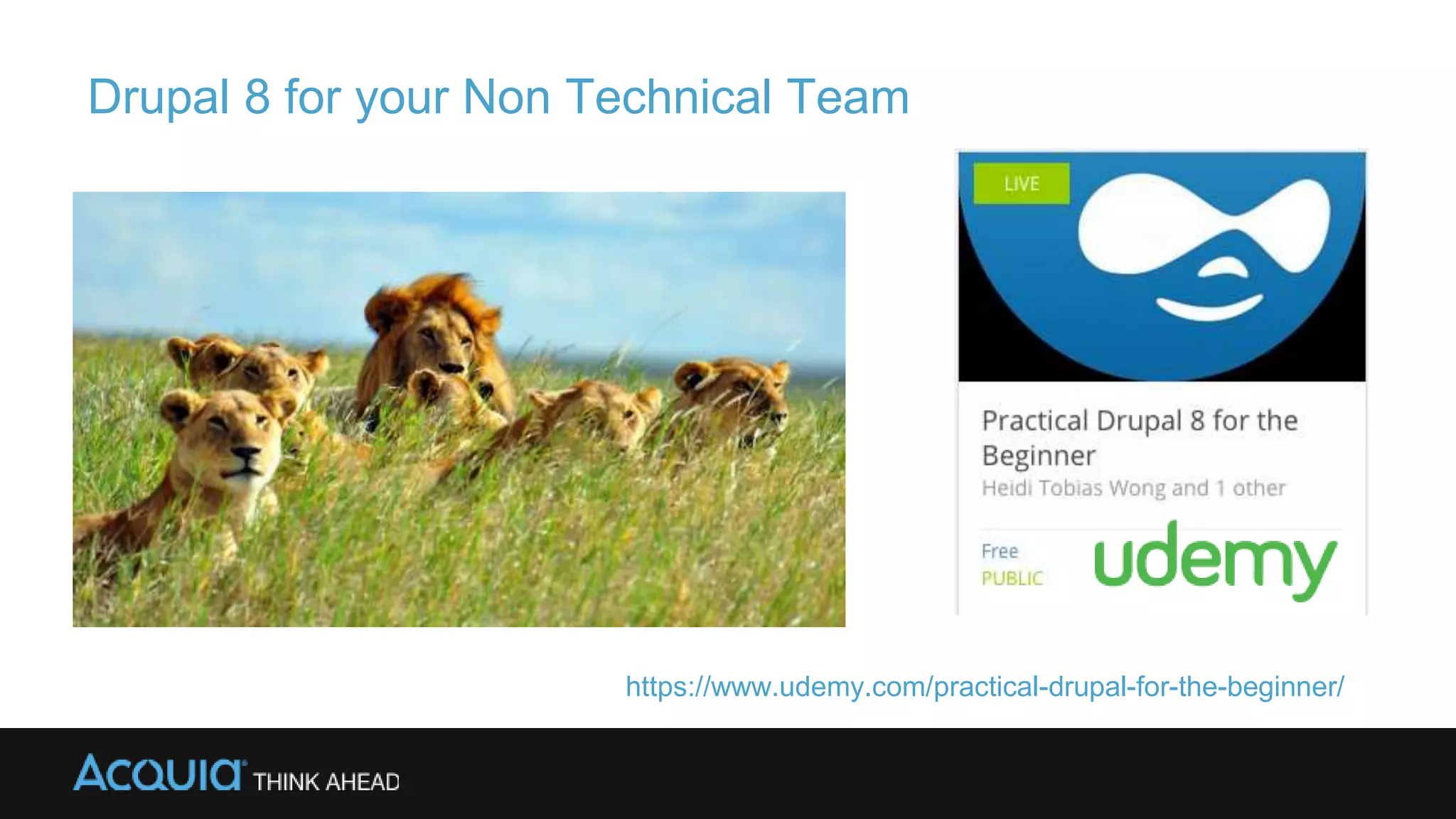 Drupal 8 for your Non Technical Team
https://www.udemy.com/practical-drupal-for-the-beginner/
 