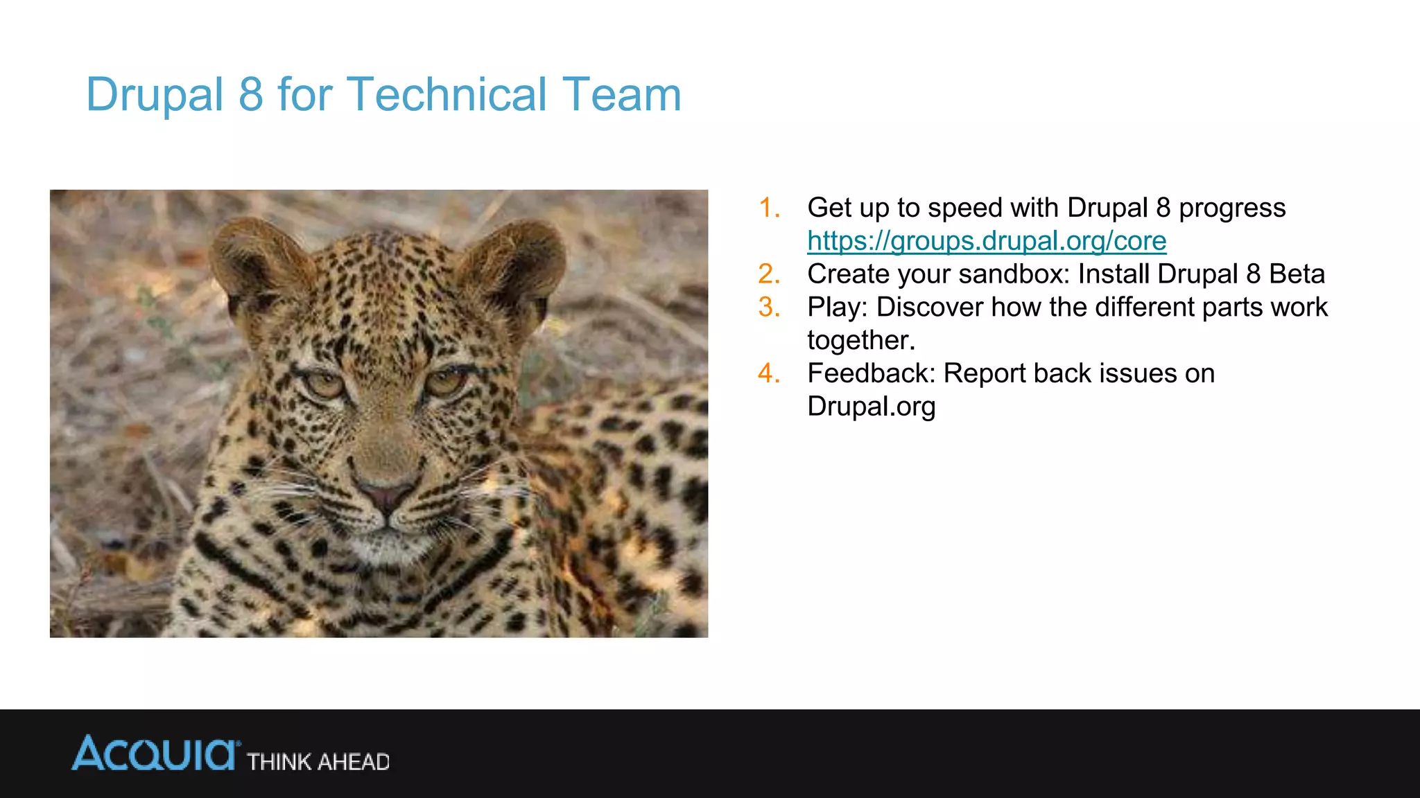 Drupal 8 for Technical Team
1. Get up to speed with Drupal 8 progress
https://groups.drupal.org/core
2. Create your sandbox: Install Drupal 8 Beta
3. Play: Discover how the different parts work
together.
4. Feedback: Report back issues on
Drupal.org
 