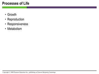 Processes of Life Growth Reproduction Responsiveness Metabolism 