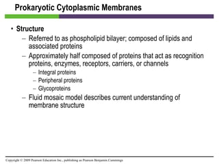 Prokaryotic Cytoplasmic Membranes Structure Referred to as phospholipid bilayer; composed of lipids and associated proteins Approximately half composed of proteins that act as recognition proteins, enzymes, receptors, carriers, or channels Integral proteins  Peripheral proteins  Glycoproteins  Fluid mosaic model describes current understanding of membrane structure 