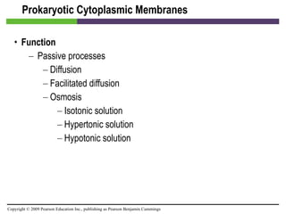 Prokaryotic Cytoplasmic Membranes Function Passive processes Diffusion Facilitated diffusion  Osmosis  Isotonic solution  Hypertonic solution  Hypotonic solution 
