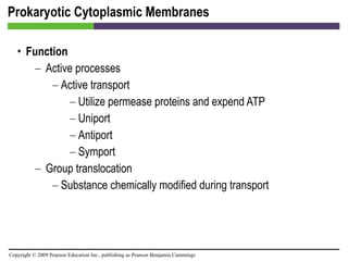 Prokaryotic Cytoplasmic Membranes Function Active processes Active transport Utilize permease proteins and expend ATP Uniport  Antiport  Symport  Group translocation Substance chemically modified during transport 