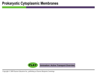 Prokaryotic Cytoplasmic Membranes Animation: Active Transport Overview 