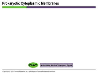 Prokaryotic Cytoplasmic Membranes Animation: Active Transport Types 