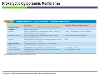 Prokaryotic Cytoplasmic Membranes [INSERT TABLE 3.2] 