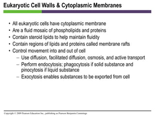 Eukaryotic Cell Walls & Cytoplasmic Membranes All eukaryotic cells have cytoplasmic membrane Are a fluid mosaic of phospholipids and proteins Contain steroid lipids to help maintain fluidity Contain regions of lipids and proteins called membrane rafts Control movement into and out of cell Use diffusion, facilitated diffusion, osmosis, and active transport Perform endocytosis; phagocytosis if solid substance and pinocytosis if liquid substance Exocytosis enables substances to be exported from cell 