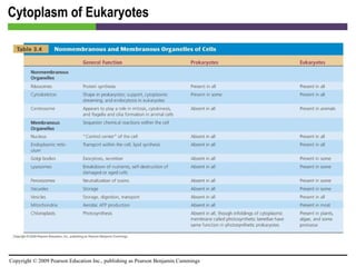 Cytoplasm of Eukaryotes [INSERT TABLE 3.4] 