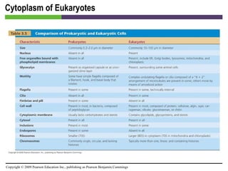 Cytoplasm of Eukaryotes [INSERT TABLE 3.5] 