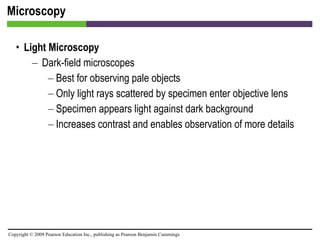 Microscopy Light Microscopy Dark-field microscopes Best for observing pale objects Only light rays scattered by specimen enter objective lens Specimen appears light against dark background Increases contrast and enables observation of more details 