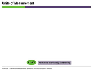Units of Measurement Animation: Microscopy and Staining 