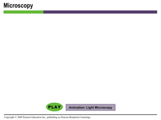Microscopy Animation: Light Microscopy 