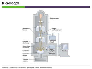 Microscopy [INSERT FIGURE 4.12] 