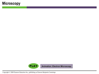 Microscopy Animation: Electron Microscopy 