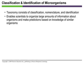 Classification & Identification of Microorganisms Taxonomy consists of classification, nomenclature, and identification Enables scientists to organize large amounts of information about organisms and make predictions based on knowledge of similar organisms 