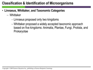 Classification & Identification of Microorganisms Linnaeus, Whittaker, and Taxonomic Categories Whittaker Linnaeus proposed only two kingdoms Whittaker proposed a widely accepted taxonomic approach based on five kingdoms: Animalia, Plantae, Fungi, Protista, and Prokaryotae 