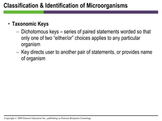Classification & Identification of Microorganisms Taxonomic Keys Dichotomous keys – series of paired statements worded so that only one of two “either/or” choices applies to any particular organism Key directs user to another pair of statements, or provides name of organism 