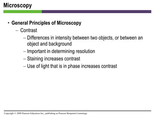 Microscopy General Principles of Microscopy Contrast Differences in intensity between two objects, or between an object and background Important in determining resolution Staining increases contrast Use of light that is in phase increases contrast 