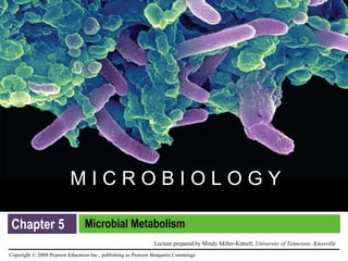 Chapter 5 Microbial Metabolism 
