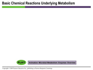 Basic Chemical Reactions Underlying Metabolism Animation: Microbial Metabolism: Enzymes: Overview 