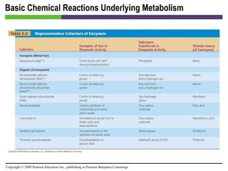 Basic Chemical Reactions Underlying Metabolism [INSERT TABLE 5.2] 