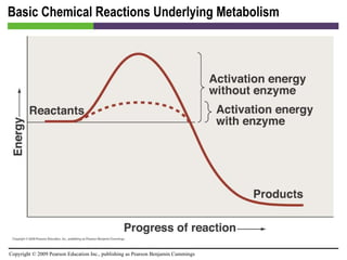 Basic Chemical Reactions Underlying Metabolism [INSERT FIGURE 5.4] 