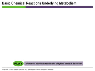 Basic Chemical Reactions Underlying Metabolism Animation: Microbial Metabolism: Enzymes: Steps in a Reaction 