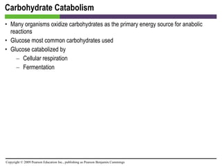 Carbohydrate Catabolism Many organisms oxidize carbohydrates as the primary energy source for anabolic reactions Glucose most common carbohydrates used Glucose catabolized by Cellular respiration  Fermentation 