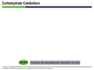 Carbohydrate Catabolism Animation: Microbial Metabolism: Glycolysis: Overview 