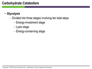 Carbohydrate Catabolism Glycolysis Divided into three stages involving ten total steps Energy-investment stage Lysis stage Energy-conserving stage 