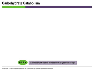 Carbohydrate Catabolism Animation: Microbial Metabolism: Glycolysis: Steps 