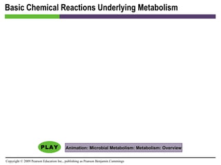 Basic Chemical Reactions Underlying Metabolism Animation: Microbial Metabolism: Metabolism: Overview 