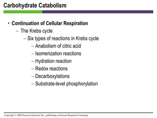 Carbohydrate Catabolism Continuation of Cellular Respiration The Krebs cycle Six types of reactions in Krebs cycle Anabolism of citric acid Isomerization reactions Hydration reaction Redox reactions Decarboxylations Substrate-level phosphorylation 