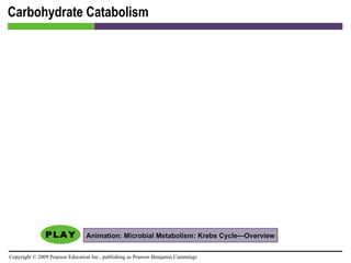 Carbohydrate Catabolism Animation: Microbial Metabolism: Krebs Cycle—Overview 