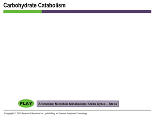 Carbohydrate Catabolism Animation: Microbial Metabolism: Krebs Cycle— Steps 
