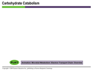 Carbohydrate Catabolism Animation: Microbial Metabolism: Electron Transport Chain: Overview 
